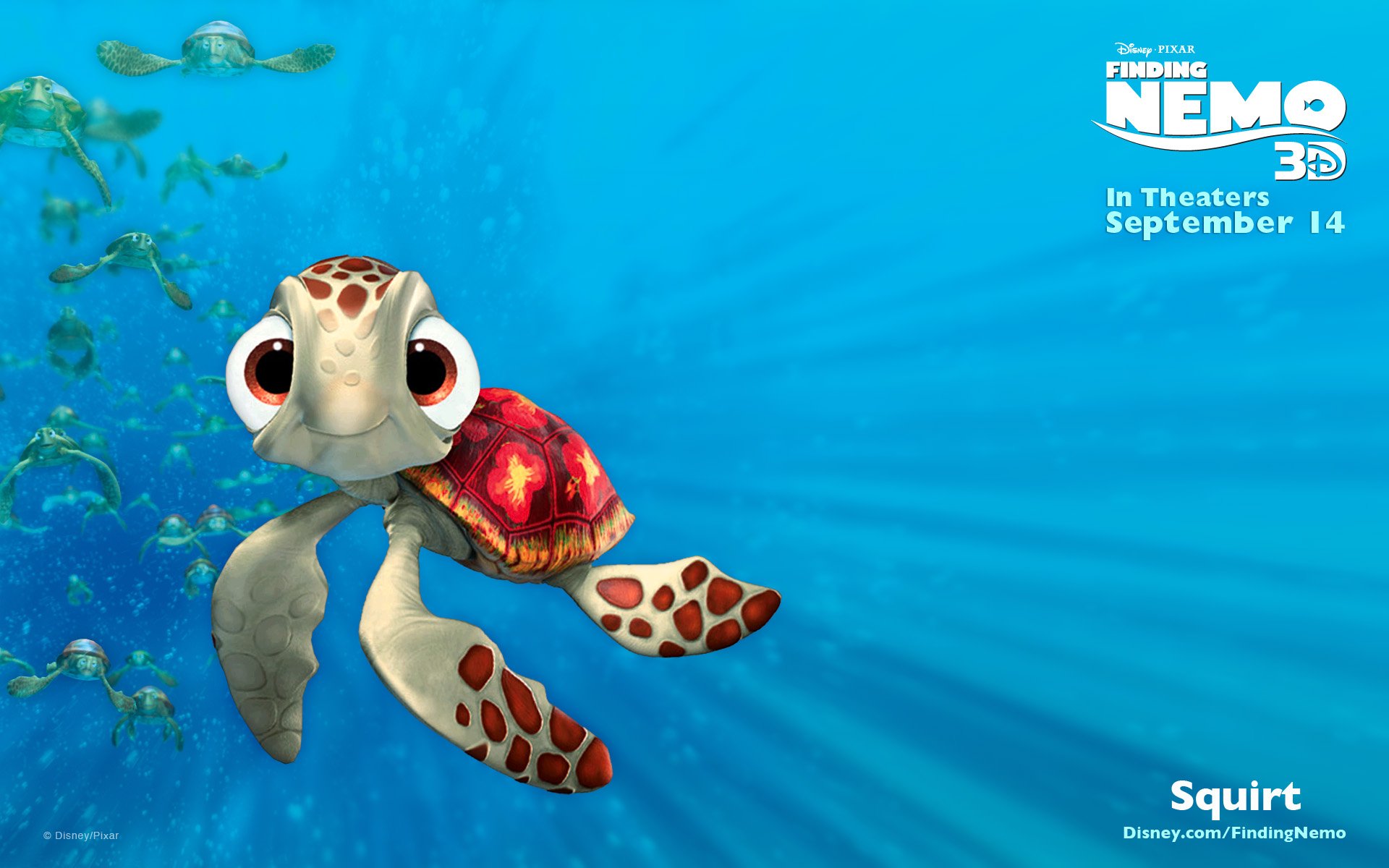 Download Squirt Finding Nemo Turtle Movie Finding Nemo Hd Wallpaper 6826