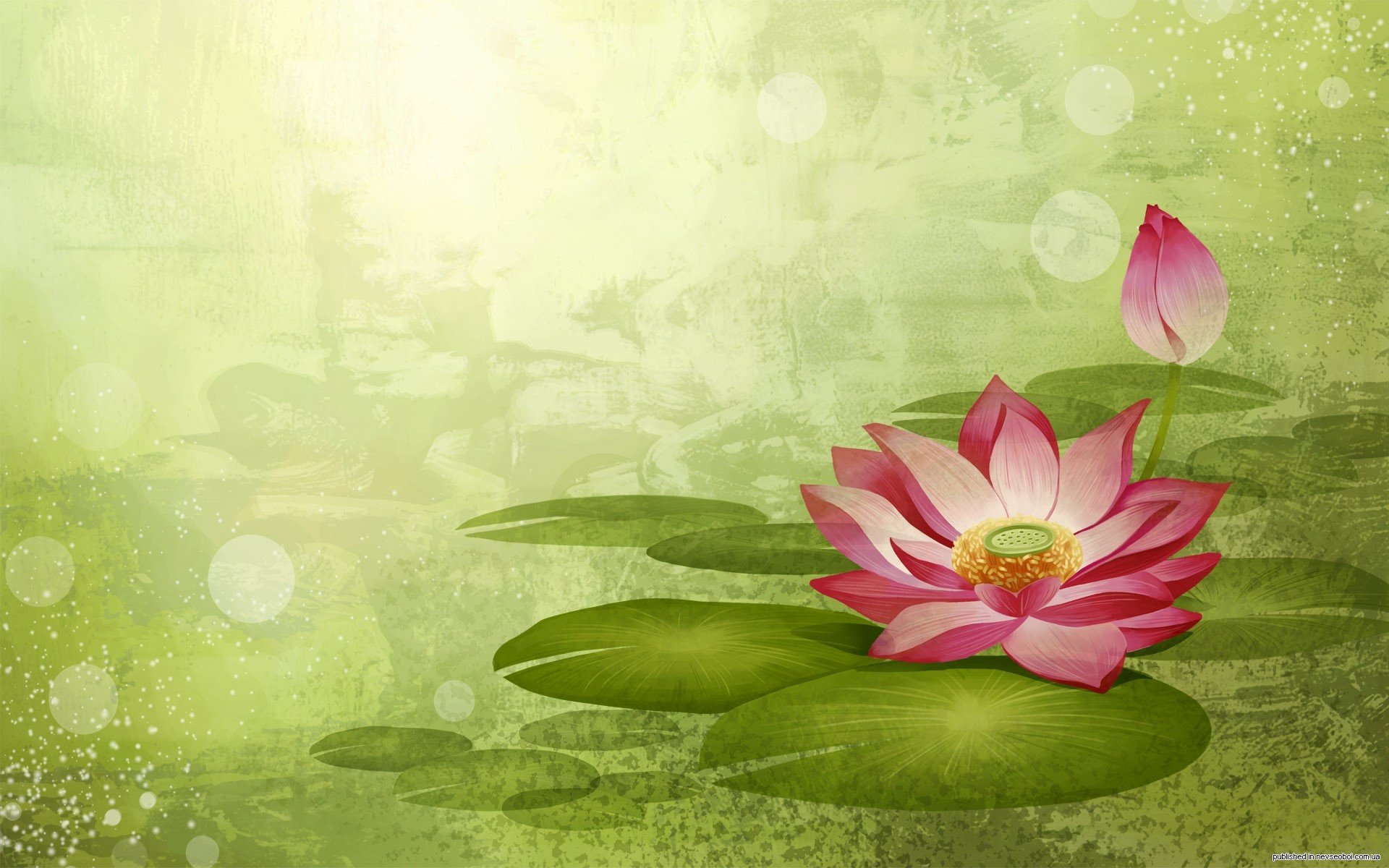 Abstract artistic HD PC desktop wallpaper featuring a pink lotus flower with green lily pads on a softly lit green background.