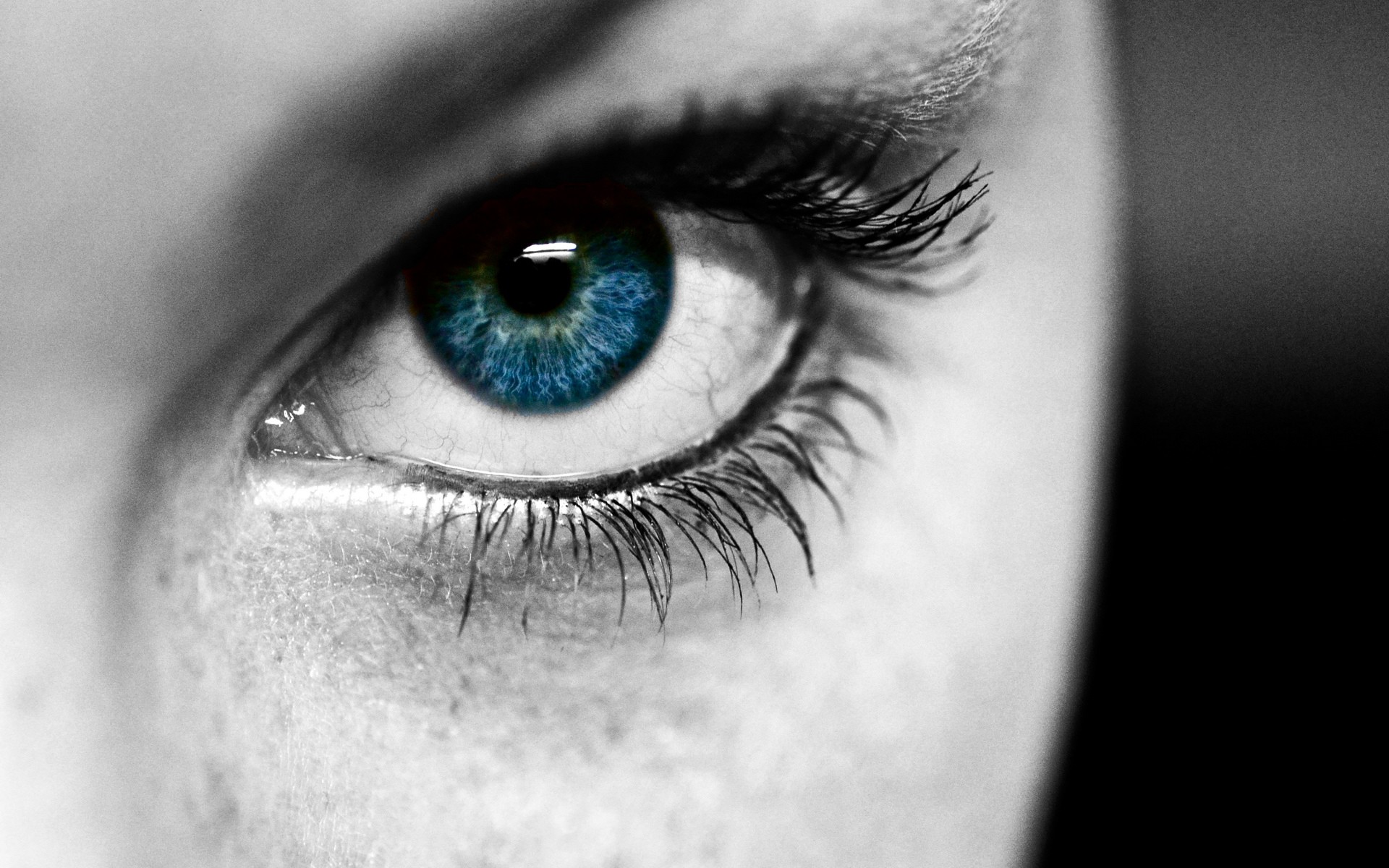 Download Woman Eye HD Wallpaper