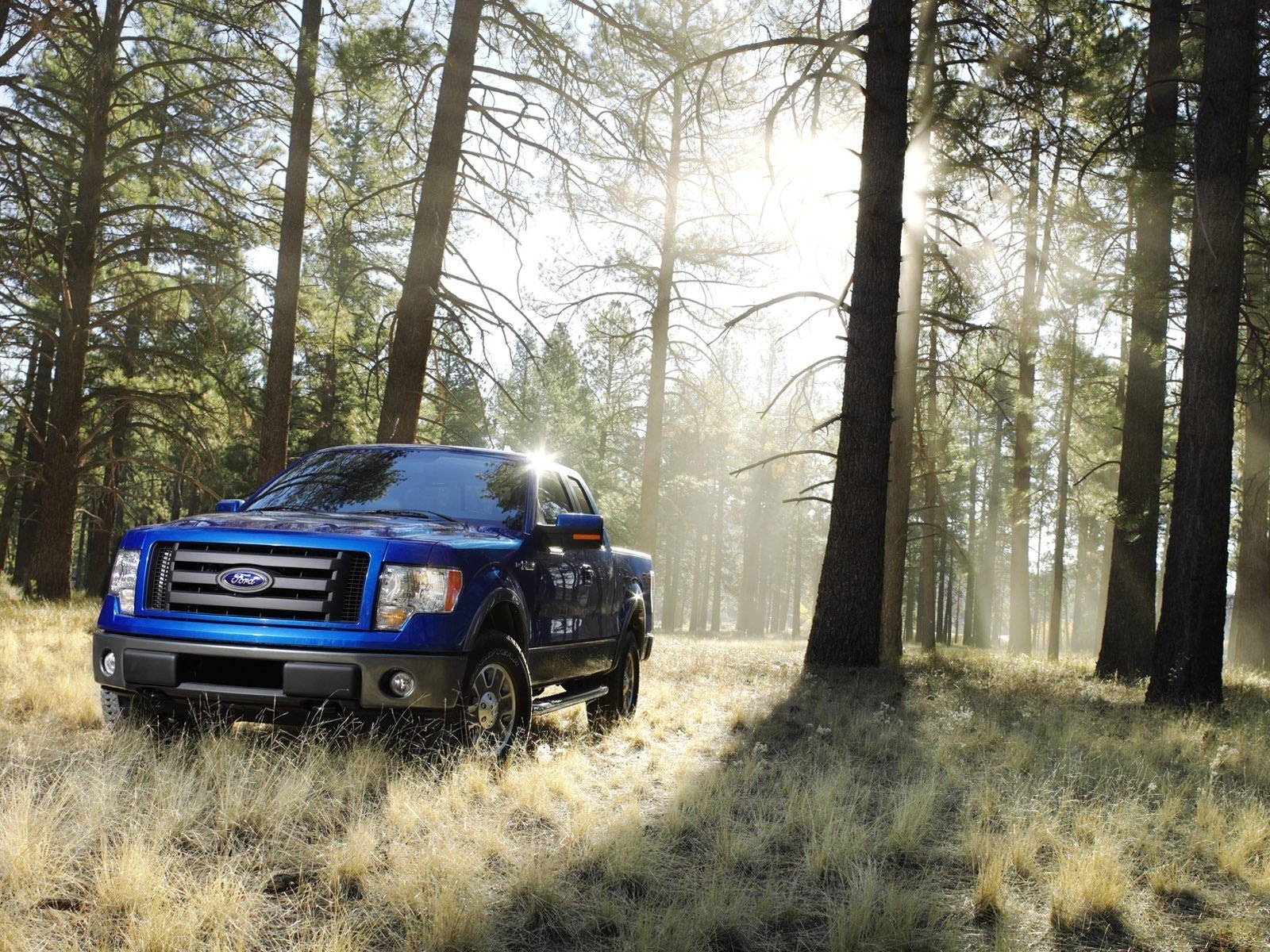 Download Vehicle Ford F-150 Wallpaper