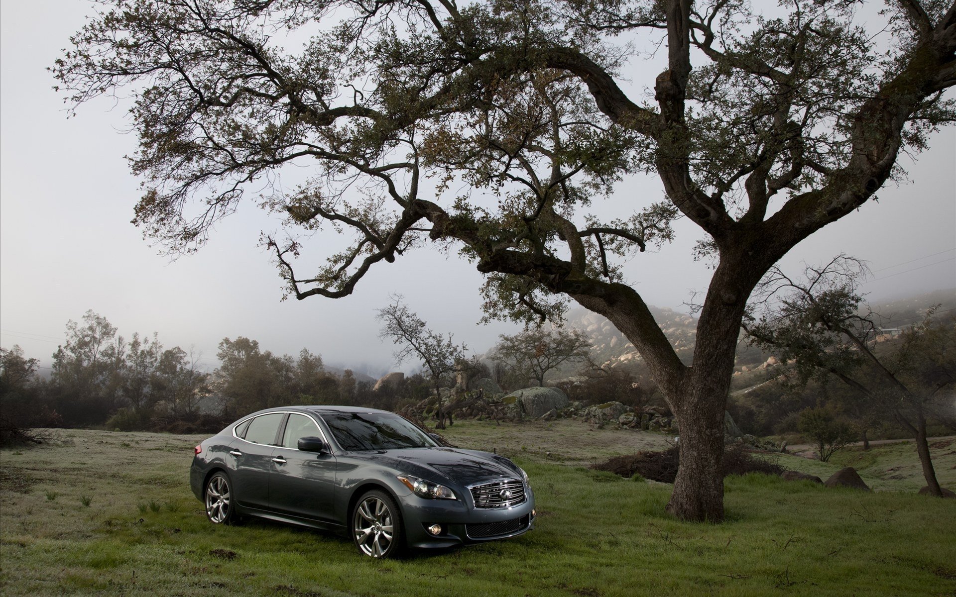 HD PC desktop wallpaper/background of a Lexus sedan parked on a misty grassy hillside beneath a large oak tree, with overcast sky and rolling hills.