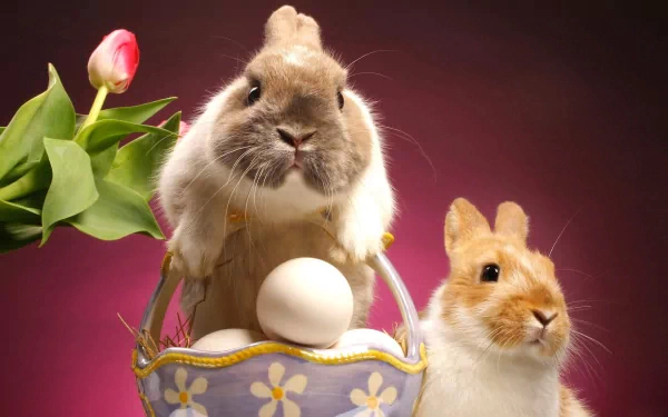 HD desktop wallpaper of two cute rabbits with an Easter egg in a basket and a tulip against a pink background.