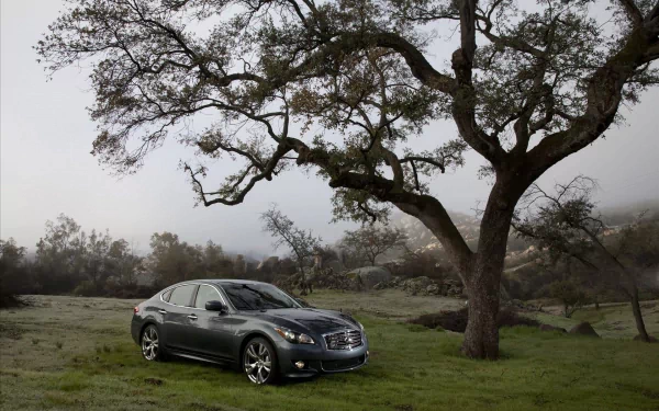 HD PC desktop wallpaper/background of a Lexus sedan parked on a misty grassy hillside beneath a large oak tree, with overcast sky and rolling hills.