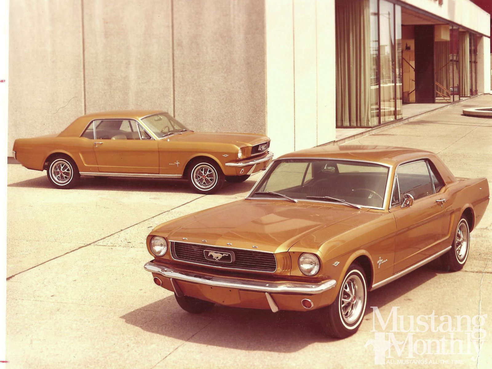 Download Vehicle Ford Mustang Wallpaper