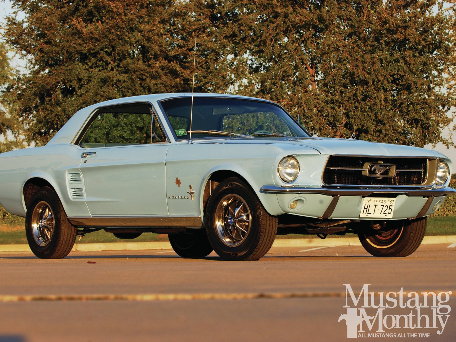 Download Vehicle Ford Mustang Wallpaper