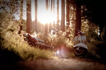 HD wallpaper featuring a serene forest pathway with a vintage scooter and a bench bathed in warm sunlight.