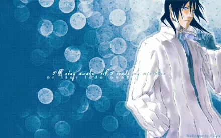 HD PC desktop wallpaper featuring Byakuya Kuchiki from the anime Bleach, set against a blue background with circular light effects.