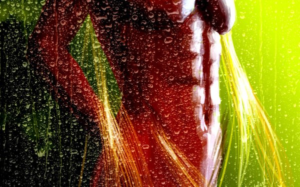 rain water fantasy artistic men HD Desktop Wallpaper | Background Image