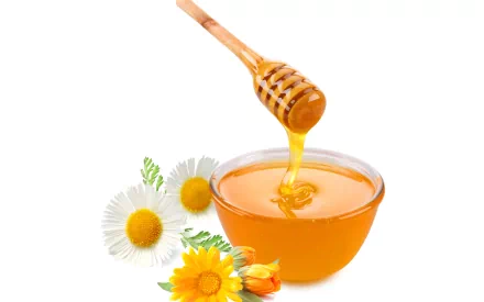 A vibrant HD wallpaper featuring a bowl of golden honey, with a honey dipper drizzling honey and surrounded by fresh flowers, creating a warm and inviting food scene.