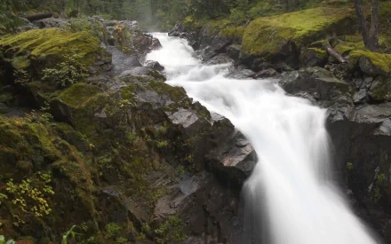 HD desktop wallpaper featuring a beautiful cascading waterfall surrounded by lush green moss-covered rocks and dense forest, showcasing serene and natural beauty of the wilderness.