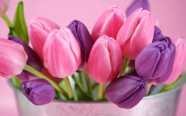 HD desktop wallpaper featuring a close-up of vibrant pink and purple tulip flowers arranged in a man-made vase against a soft pink background.