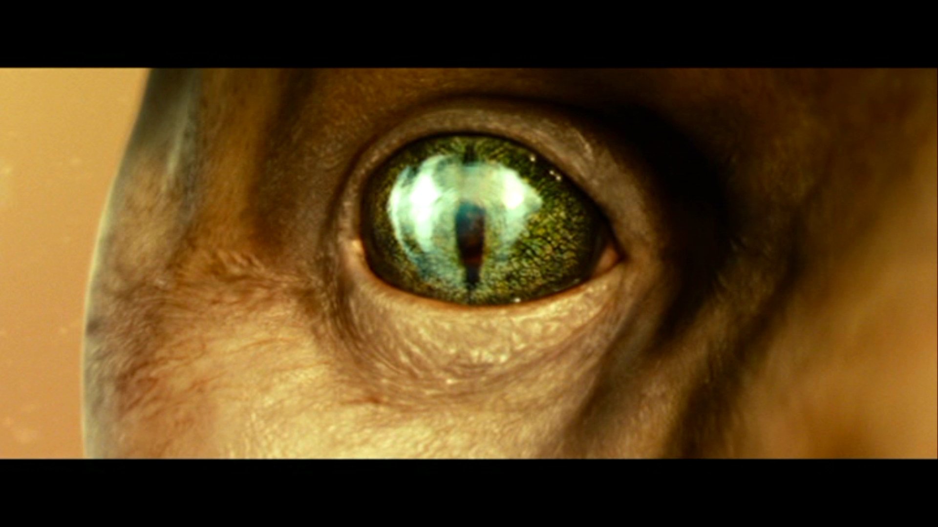 Download Movie Battleship (Movie) HD Wallpaper