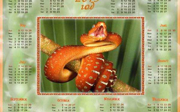 Misc calendar HD Desktop Wallpaper | Background Image