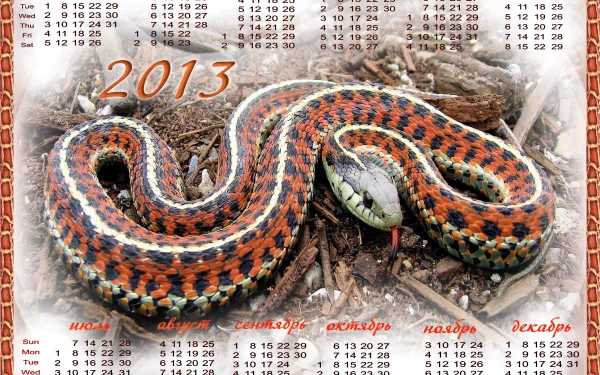 Misc calendar HD Desktop Wallpaper | Background Image