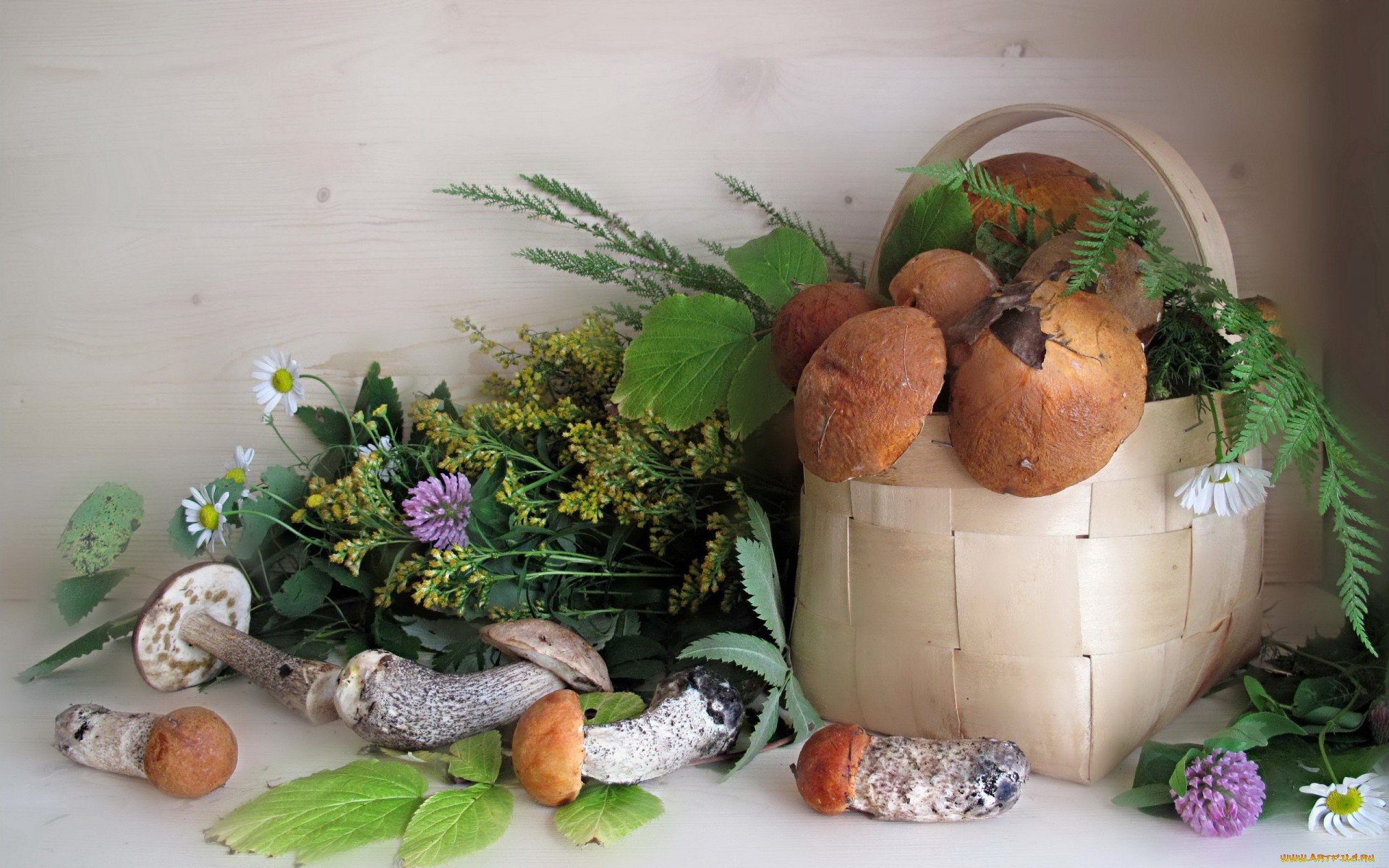 Rustic Harvest: HD Still Life of Wild Mushrooms & Blooms