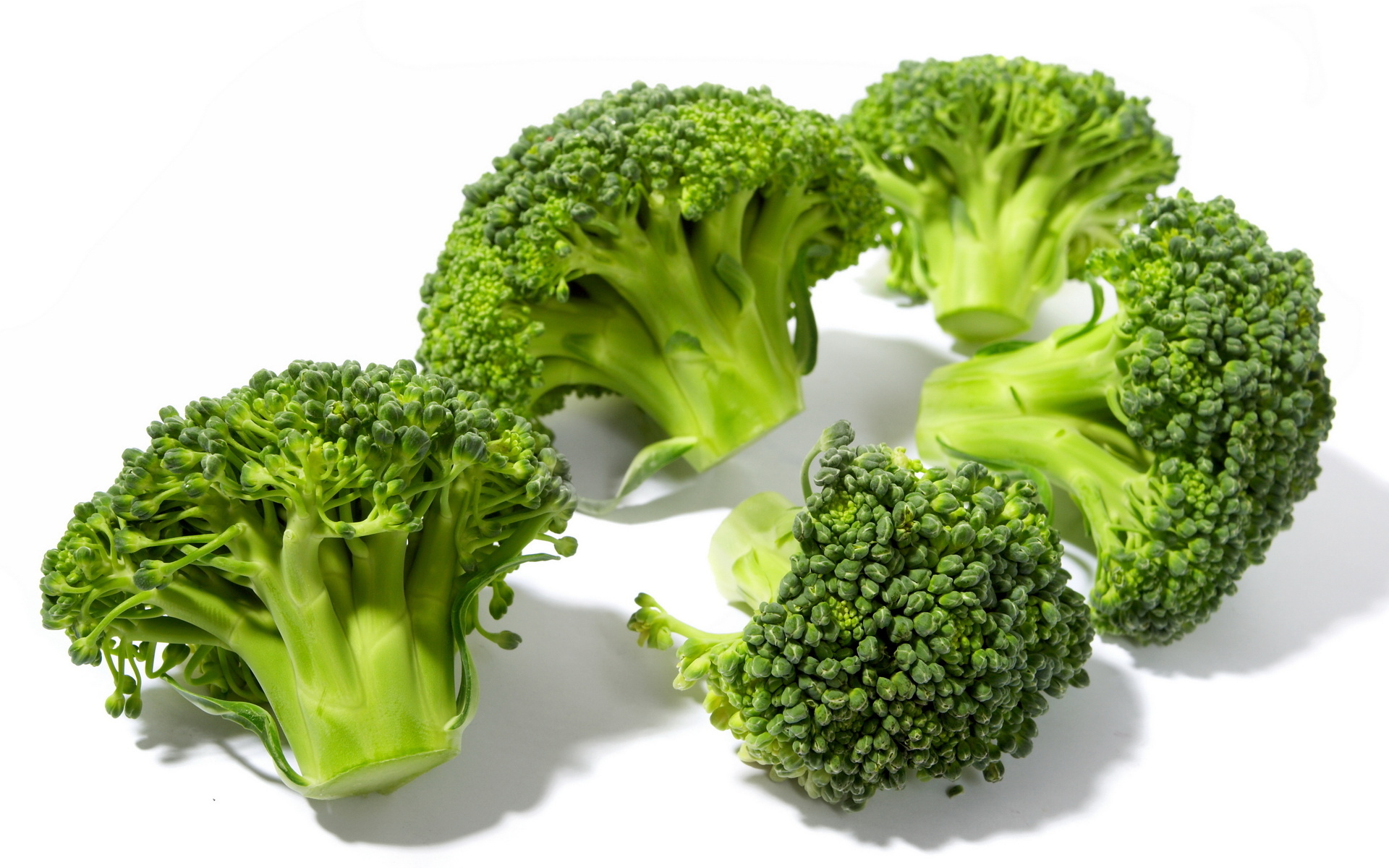Food Broccoli HD Wallpaper | Background Image
