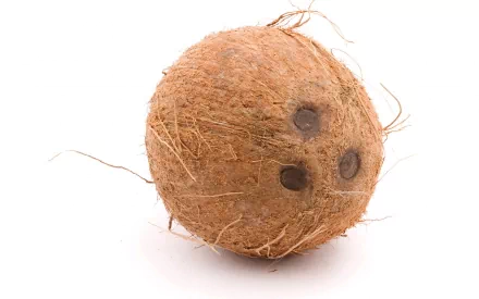 A close-up of a coconut, showcasing its textured brown shell and natural fibers. This HD desktop wallpaper highlights the simplicity and beauty of this tropical fruit.