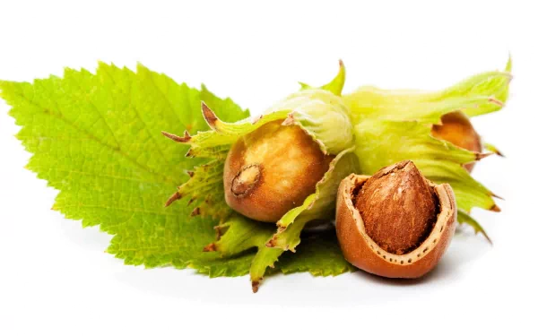 food hazelnut HD Desktop Wallpaper | Background Image