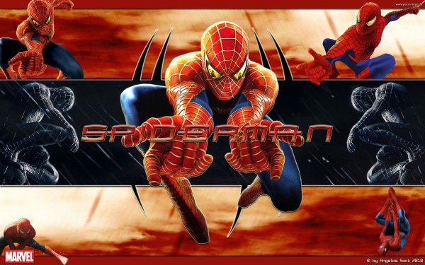 43 Spider-Man HD Wallpapers | Background Images - Wallpaper Abyss