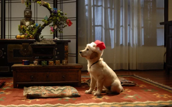 A Labrador Retriever wearing a festive Santa hat sits beside a bonsai tree, creating a charming Christmas scene in this HD wallpaper inspired by the movie Santa Buddies.