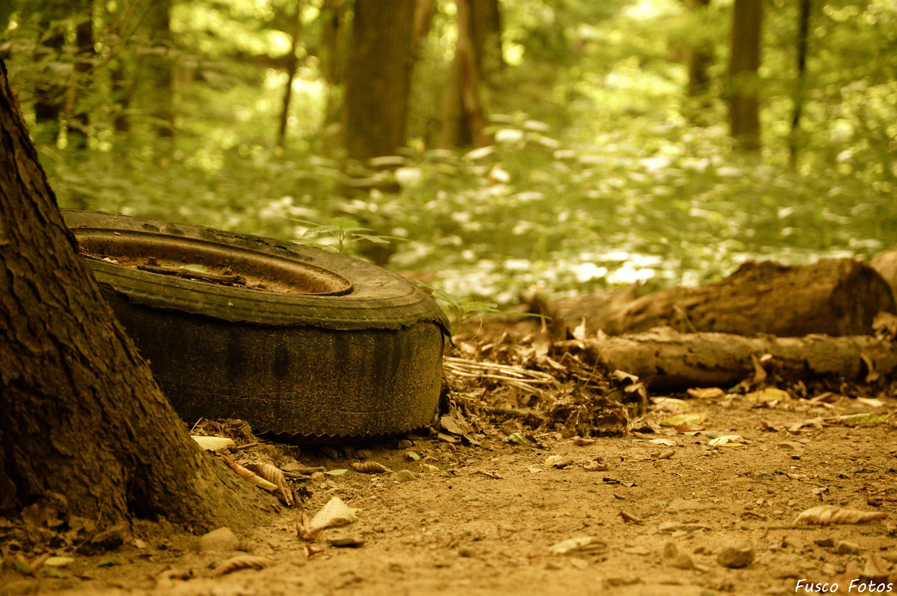 Download Photography Close Up HD Wallpaper