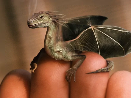 HD desktop wallpaper featuring a tiny, detailed fantasy dragon perched on a human finger, showcasing intricate wings and scales against a soft, blurred background.