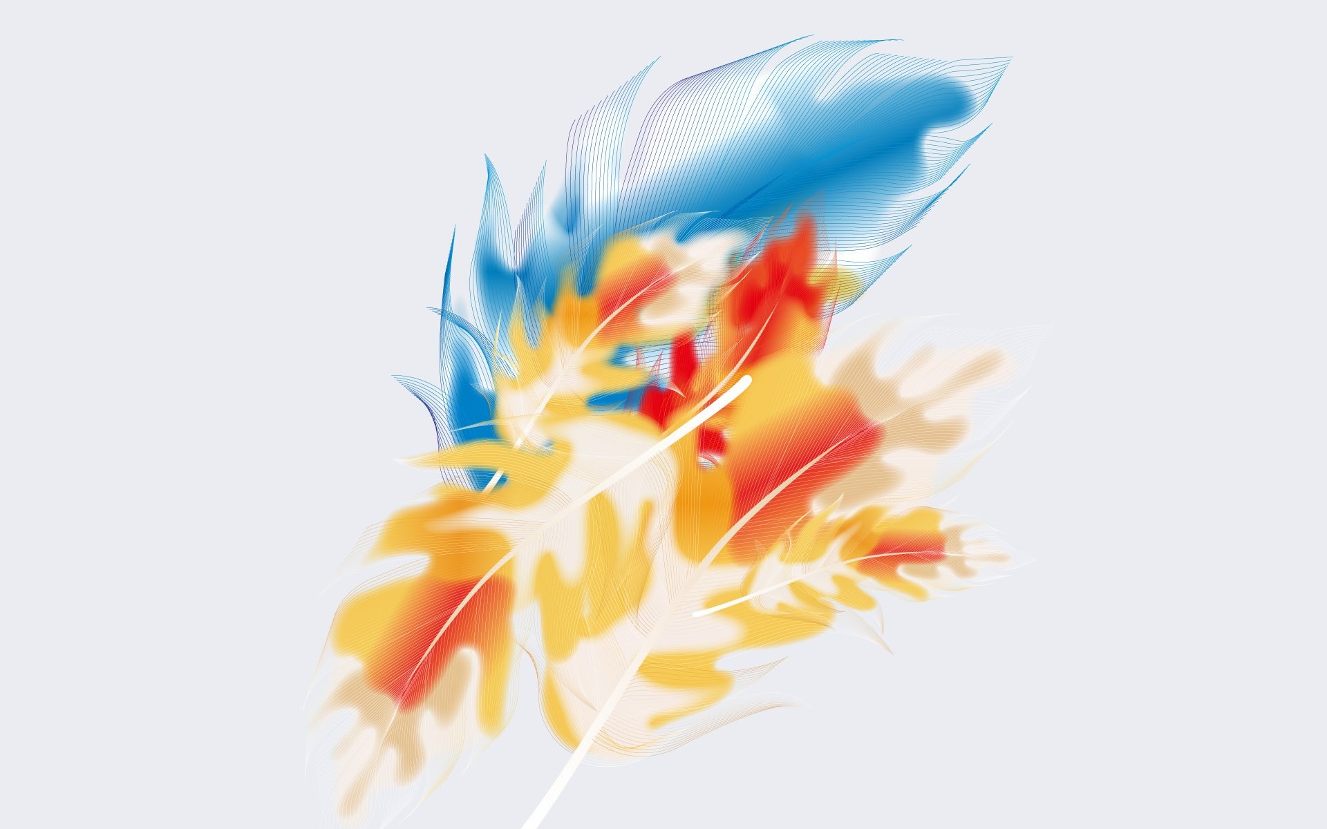 Download Artistic Feather HD Wallpaper