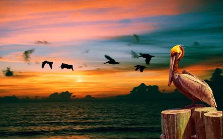 A serene coastal scene featuring a pelican perched on a post, silhouetted against a vibrant sunset, with birds flying across the colorful sky, making for a stunning HD wallpaper.