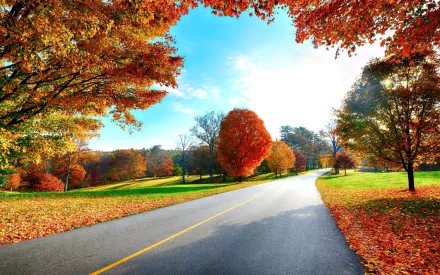 A scenic road meanders through vibrant autumn foliage, framed by trees in hues of orange, red, and yellow, set against a clear blue sky, creating a stunning HD desktop wallpaper.