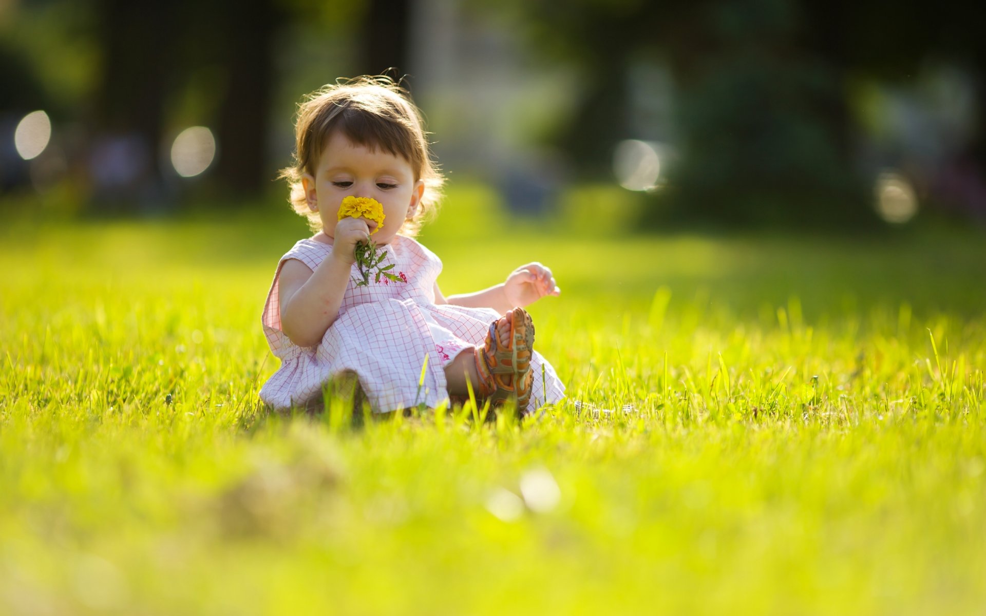 Download Photography Baby  HD Wallpaper