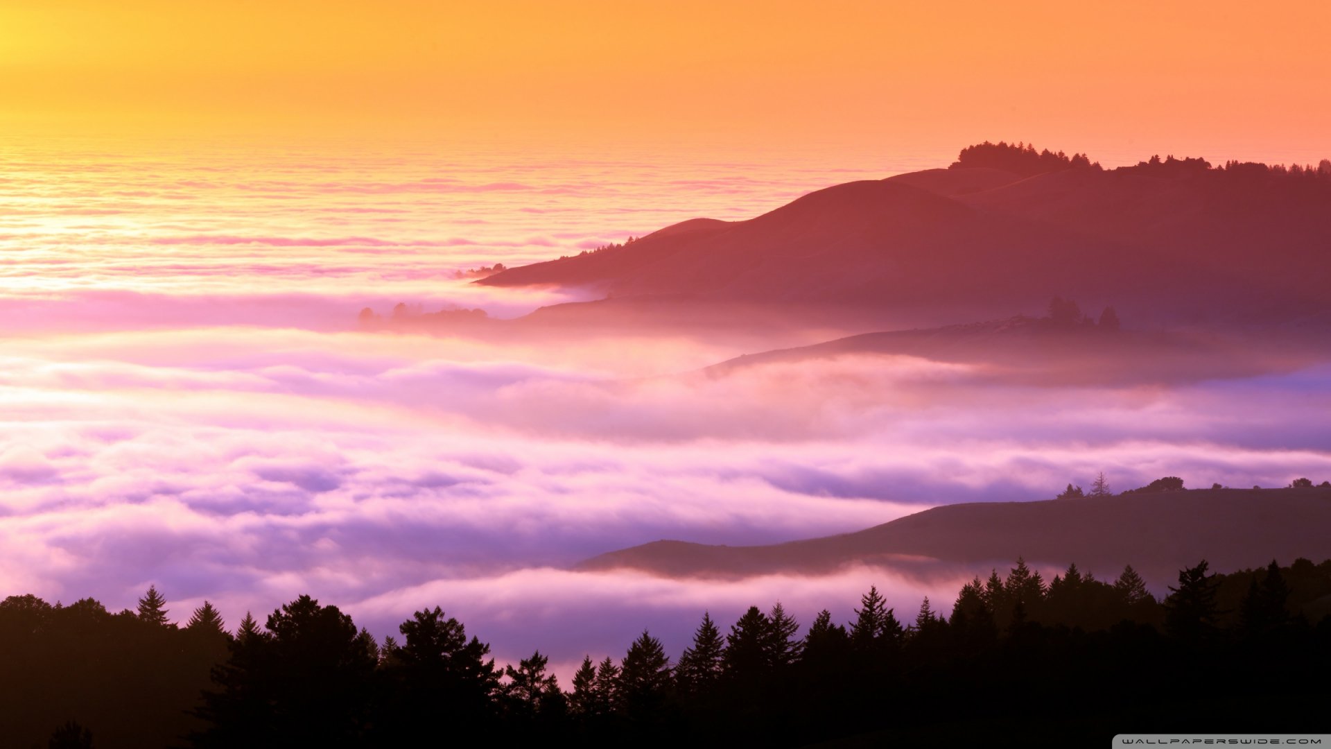 Download Sea Of Clouds Nature Cloud HD Wallpaper