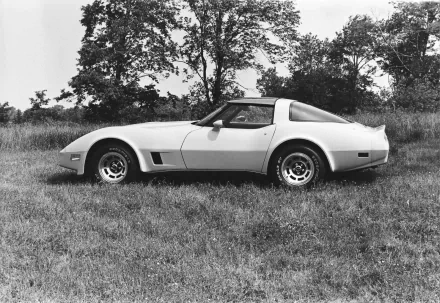 HD PC desktop wallpaper: side profile of a vintage 1980 Chevrolet Corvette parked on grass with trees in the background.