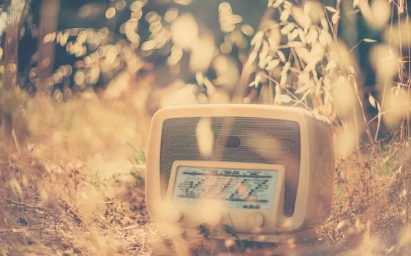 music radio HD Desktop Wallpaper | Background Image