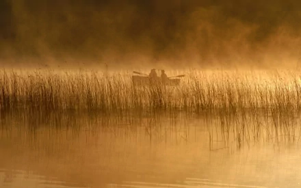 A serene HD desktop wallpaper featuring a tranquil scene of a boat gliding through misty waters, surrounded by tall reeds and bathed in warm, golden light.