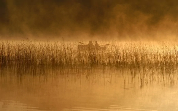 A serene HD desktop wallpaper featuring a tranquil scene of a boat gliding through misty waters, surrounded by tall reeds and bathed in warm, golden light.