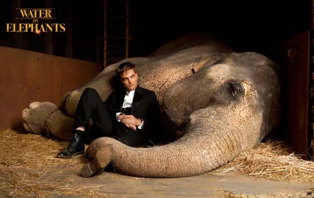 Robert Pattinson relaxes beside a majestic elephant in a scene from *Water for Elephants*. This HD wallpaper captures the film's unique bond between man and animal.