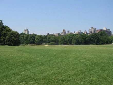HD desktop wallpaper depicting a wide grassy field in a park with city buildings in the background under a clear blue sky.