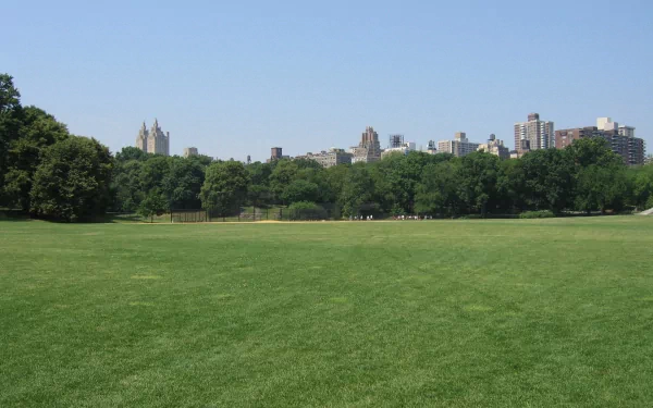 HD desktop wallpaper depicting a wide grassy field in a park with city buildings in the background under a clear blue sky.