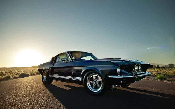  1967 Shelby GT500