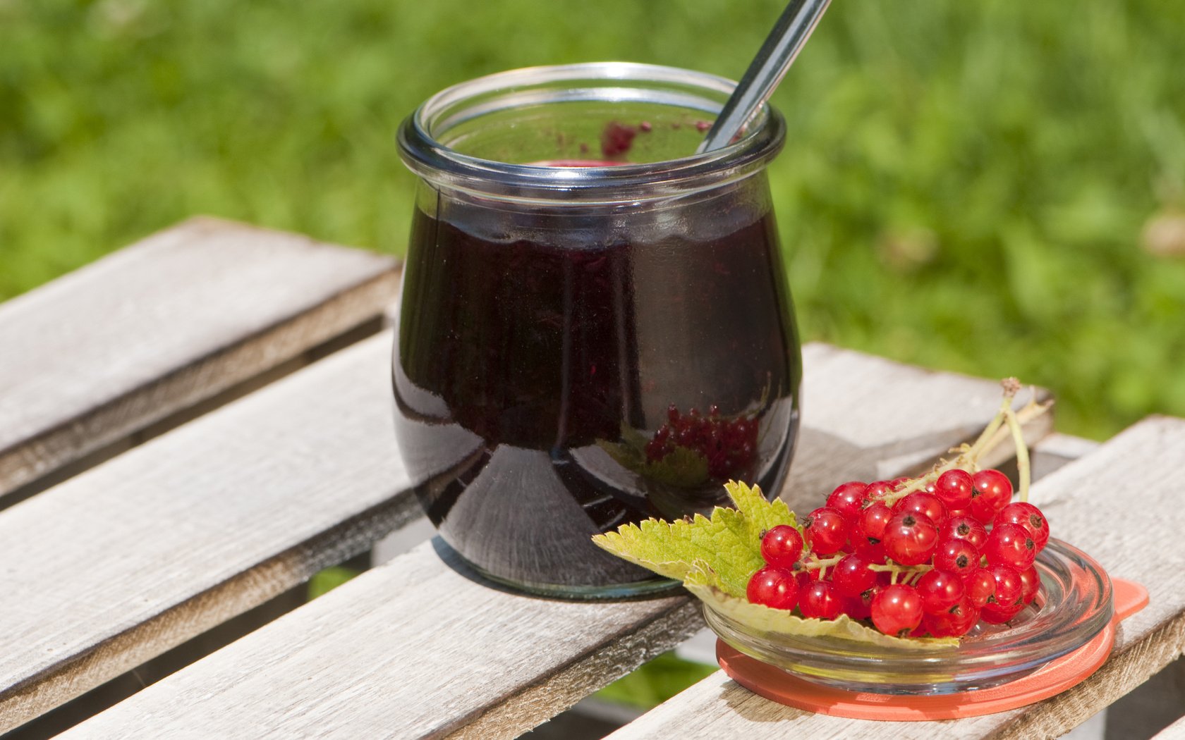HD PC desktop wallpaper and background showing food jam: a jar of dark berry jam with a spoon and fresh red currants on a small dish, on a white wooden bench with a blurred green lawn.