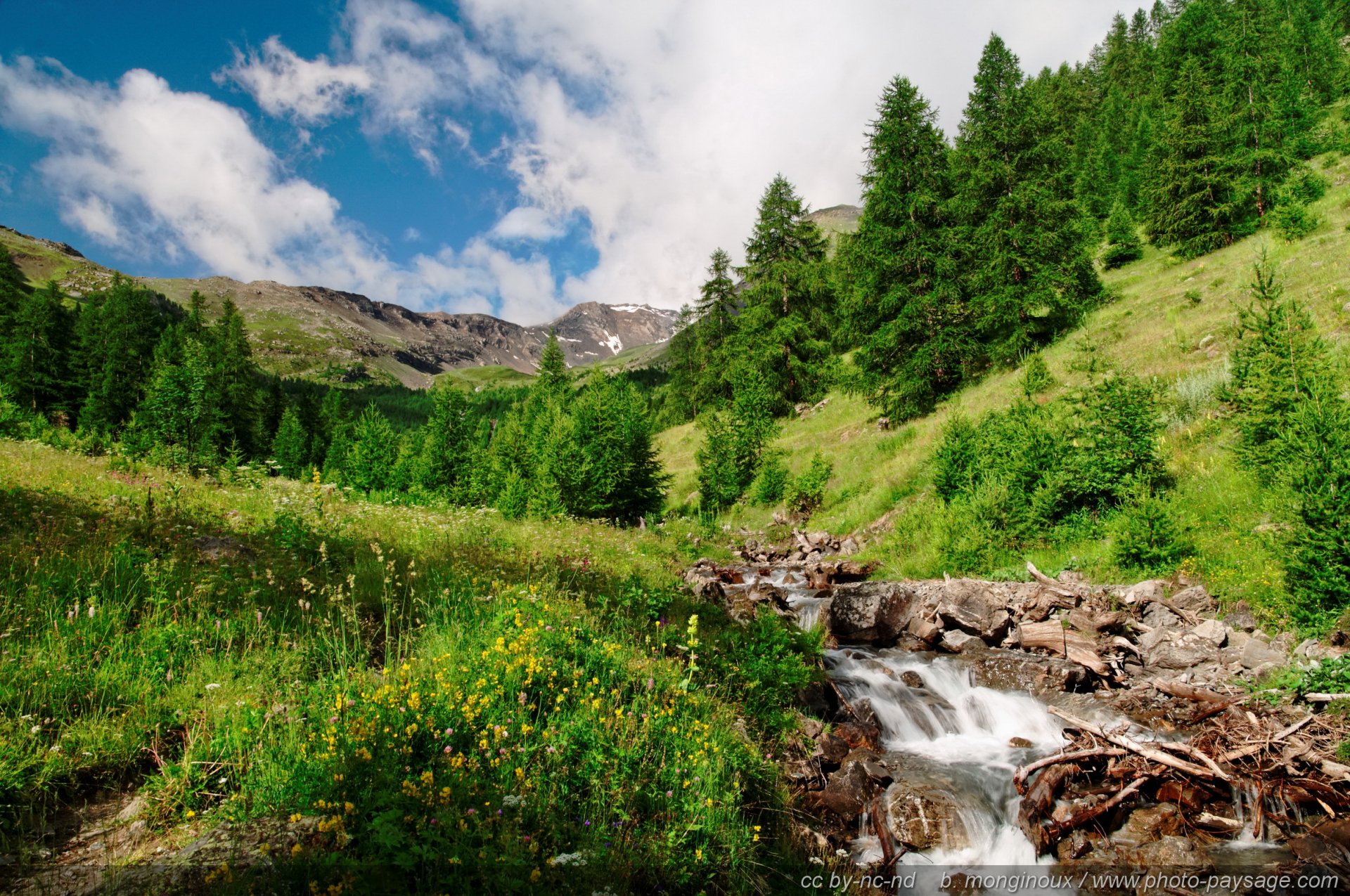 HD PC desktop wallpaper of a nature landscape: sunlit mountain meadow, pine-covered slopes and a rocky stream cascading over rocks under a bright blue sky.