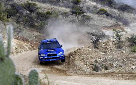 Blue Subaru vehicle racing on a winding dirt road, kicking up dust across arid hills — 2K Quad HD PC desktop wallpaper