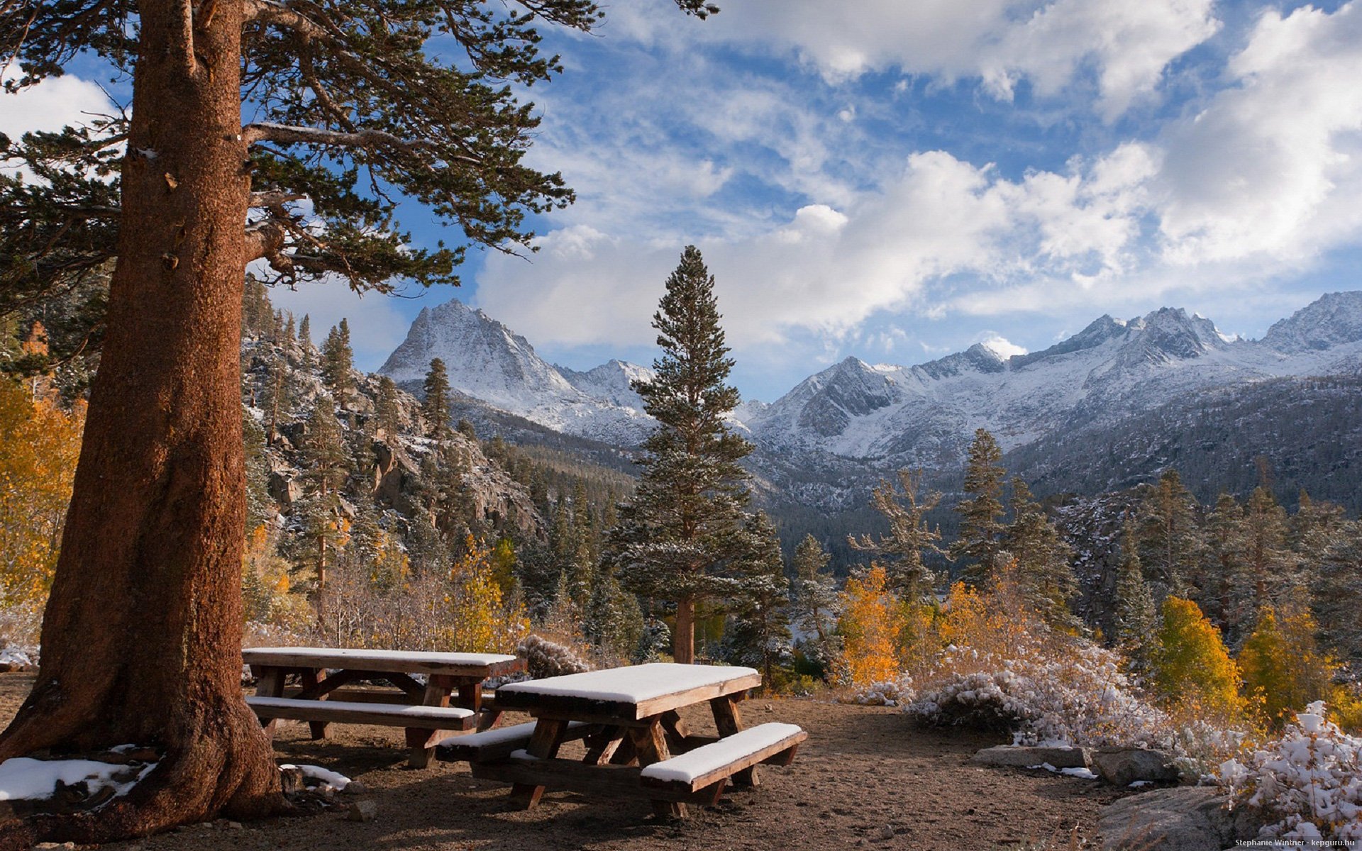 HD photography of a winter landscape featuring snow-dusted trees and mountains under a cloudy blue sky, used as a PC desktop wallpaper and background.
