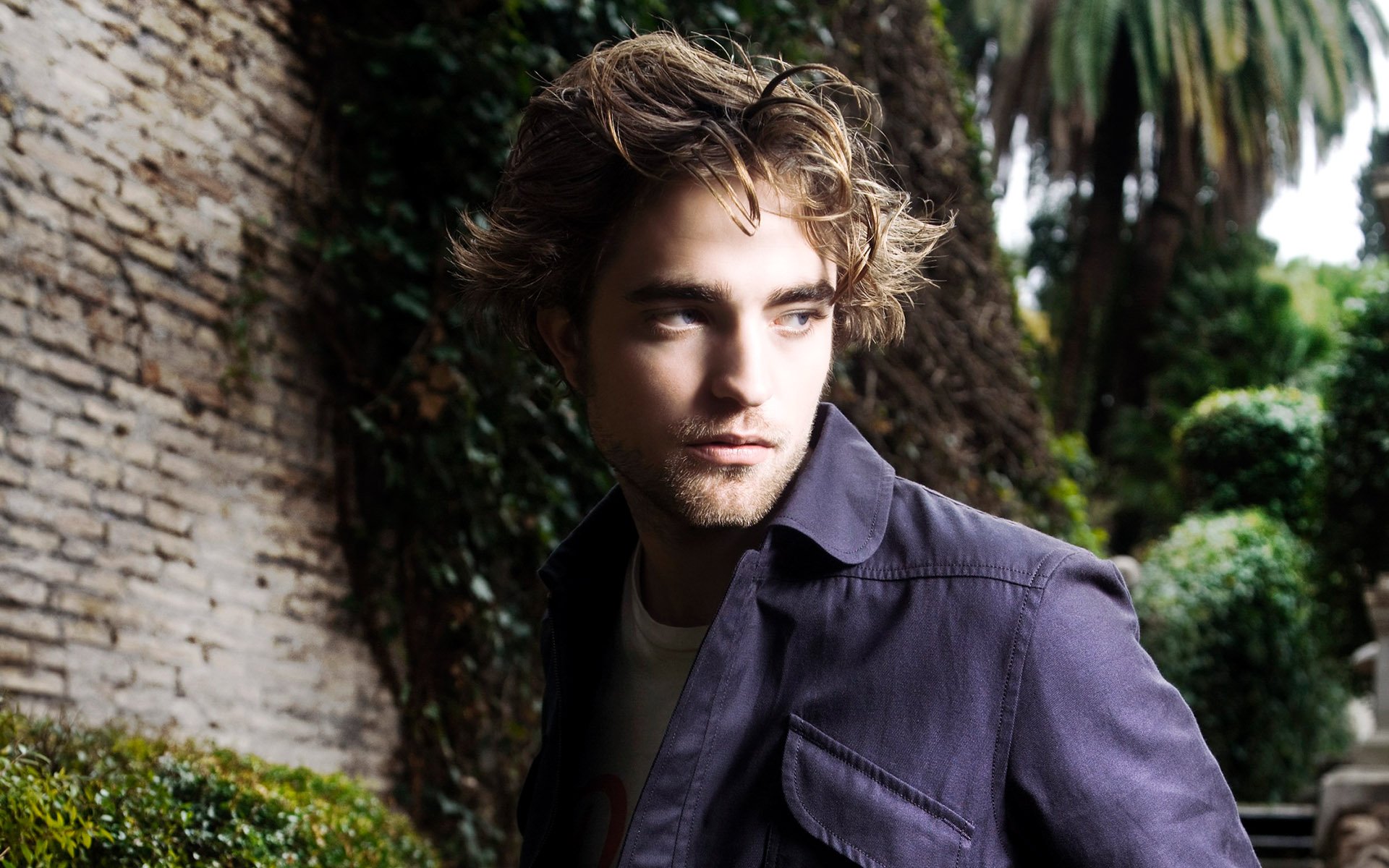 Download Celebrity Robert Pattinson Hd Wallpaper