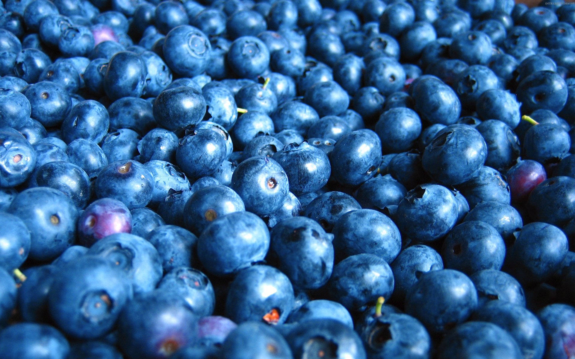 Blueberries seamless pattern for wallpaper Vector Image