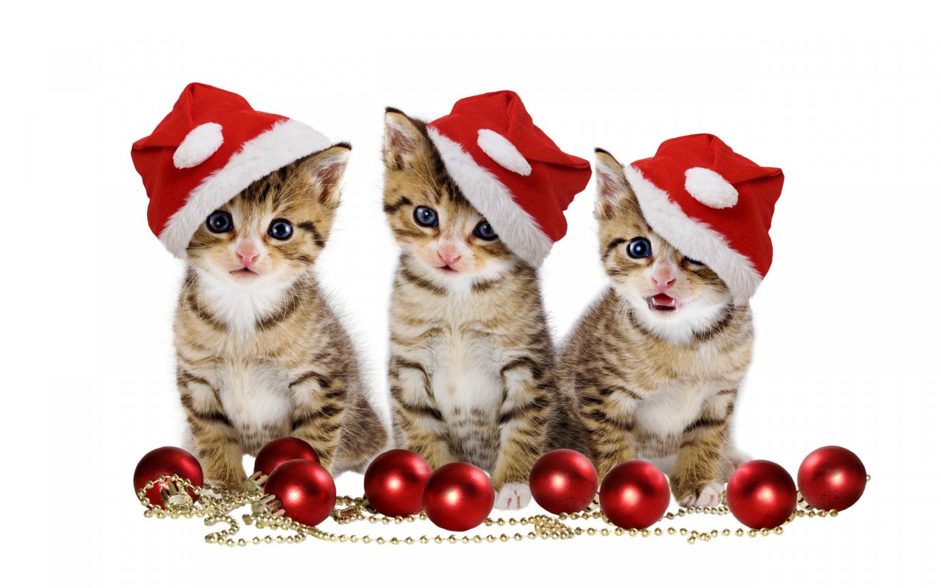 Three kittens wearing Santa hats sit among red Christmas ornaments and gold beads. This HD wallpaper captures the festive spirit with adorable cats ready for the holiday season.