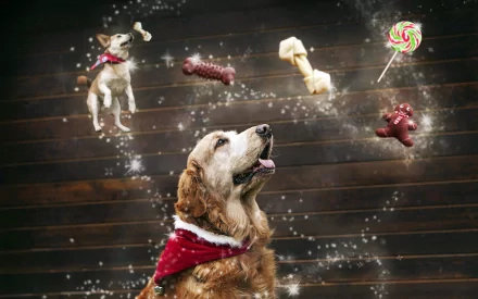 HD desktop wallpaper of a golden retriever wearing a red bandana, surrounded by floating dog treats and toys against a dark wooden background.