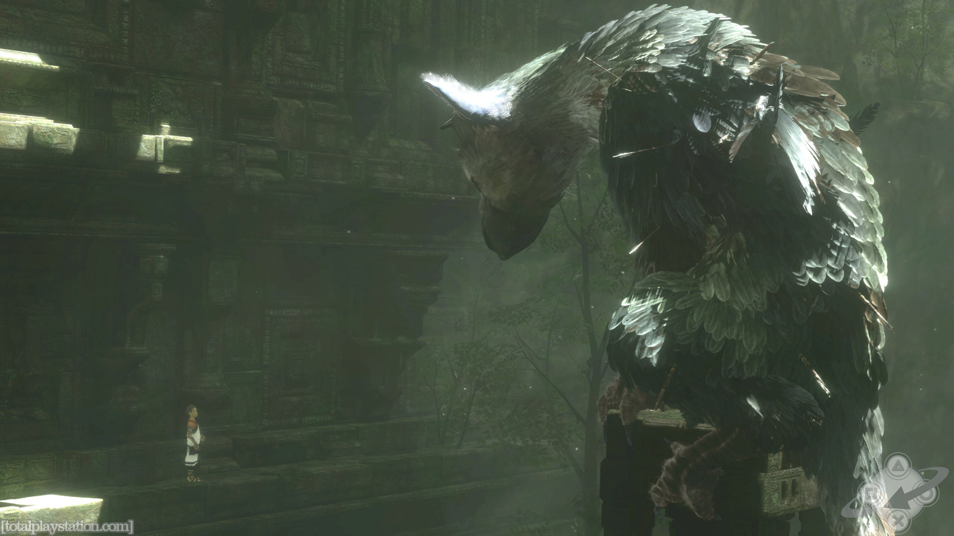 Wallpaper Engine - The Last Guardian 