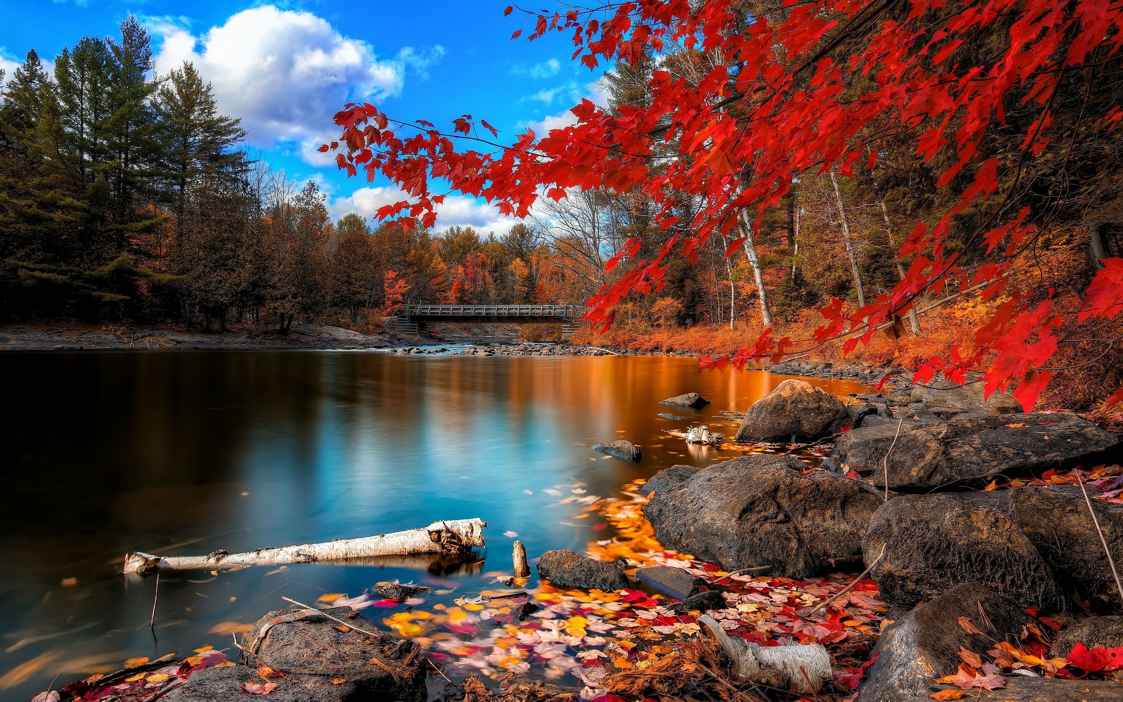 fall backgrounds for computer hd