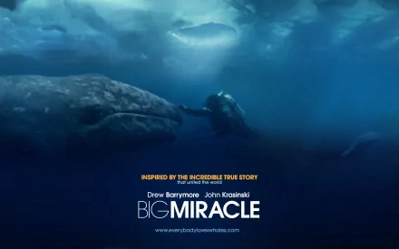 whale movie Big Miracle HD Desktop Wallpaper | Background Image